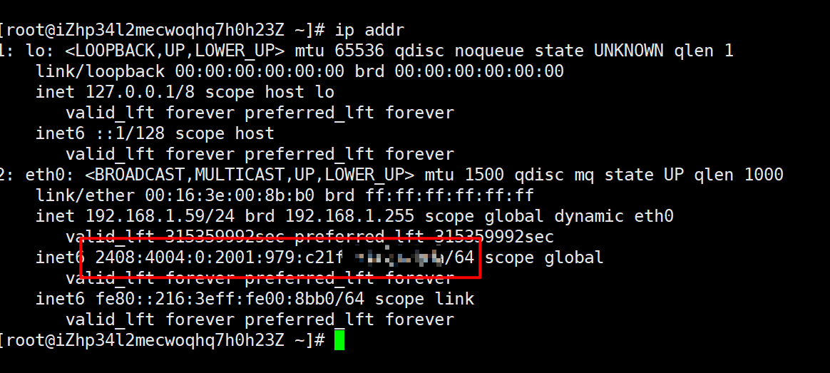 阿里云ECS部署 IPv4 IPv6 双栈实践 - 新建篇-米饭粑