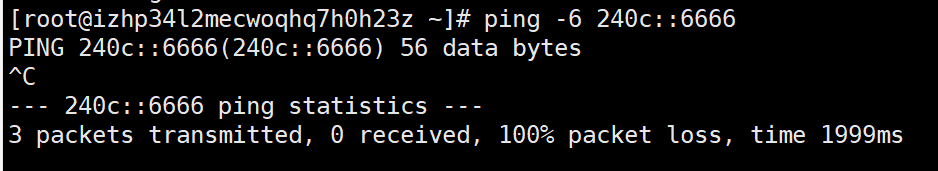 阿里云ECS部署 IPv4 IPv6 双栈实践 - 新建篇-米饭粑
