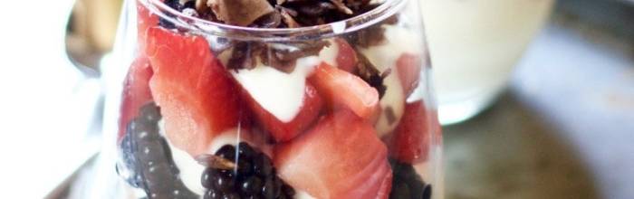 自制酸奶的心得总结